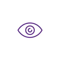Vision Icon